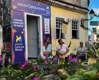 Cannabis vai tratar a dependência de álcool e crack; saiba como