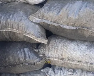 Carga de carvão ilegal é encontrada em operação da PM na Bahia