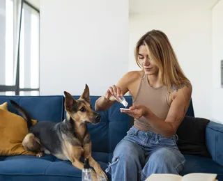Casa limpa e pet seguro: veja como higienizar o lar sem riscos aos animais