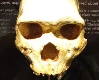 Crânio de 300 mil anos encontrado na Grécia não é humano ou neandertal