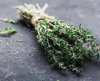 Gripou? Essa é a planta mais recomendada para gripe e dor de garganta