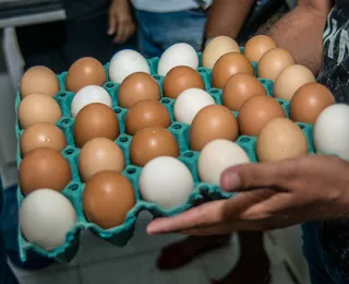 Guardar ovos na porta da geladeira é um erro? Saiba onde colocá-los