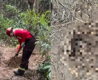 Policiais militares localizam corpos esquartejados em área de mata