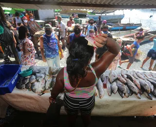 Projeto do VLT já rende frutos para marisqueiras e pescadores do Subúrbio