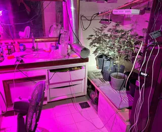Quadrilha envolvida em tráfico interestadual de drogas e lavagem de dinheiro é desarticulada