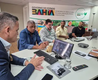 Reunião setorial discute inovação e valorização do sisal na Bahia