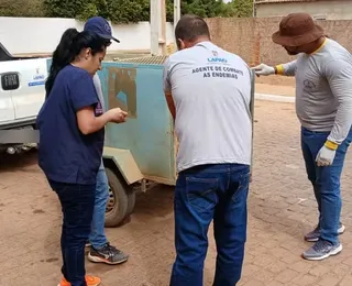 Sete cães morrem envenenados na Bahia e polícia abre investigação