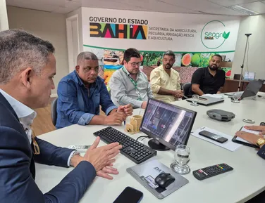 Reunião setorial discute inovação e valorização do sisal na Bahia - Imagem