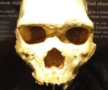 Crânio de 300 mil anos encontrado na Grécia não é humano ou neandertal - Imagem
