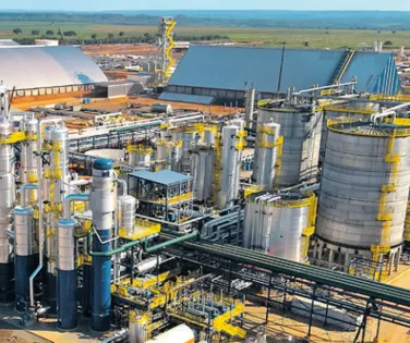 Produção de sorgo cresce 39% na Bahia e ganha espaço no setor de biocombustíveis - Imagem