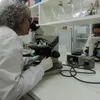 Estudo em gestantes quer reduzir risco de HTLV-1 em recém-nascidos - Imagem