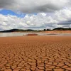 Seca em Irecê é a pior dos últimos 40 anos, segundo Ricardo Rodrigues - Imagem