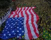 O descaro da bandeira - Imagem
