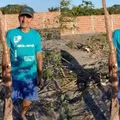 Agricultor se surpreende com mandioca de 2 metros colhida na Bahia imagem