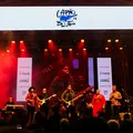 Capão in Blues volta maior, gratuito e com mais atrações nacionais e internacionais imagem