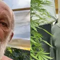 Ex-ator da Globo surpreende com plantação de maconha no RJ imagem