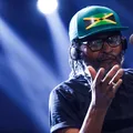 Filho de Edson Gomes dispara sobre o Lollapalooza: “Agora estão respeitando” imagem