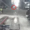 Funcionário agride patrão e alega ter sido vítima de “feitiçaria” imagem