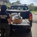 Mais de 30 kg de drogas são incineradas em cidade do Recôncavo Baiano imagem