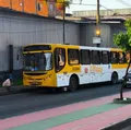 Mulher morre após moto derrapar e parar embaixo de ônibus na Suburbana imagem