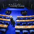 “Senado virou puxadinho do STF”, diz senador após queda de sessão imagem