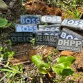 Sete quilos de cocaína são encontrados enterrados em Madre de Deus imagem