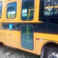 Transporte escolar de Santo Estevão entra na mira da Justiça imagem