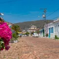 Turismo rural, cafés e música: o que esperar da Ruraltur 2025 em Mucugê imagem