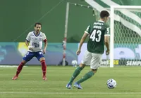Adversário do Bahia, Palmeiras está invicto há dez jogos; veja números imagem