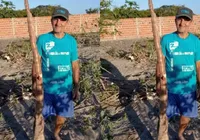 Agricultor se surpreende com mandioca de 2 metros colhida na Bahia imagem