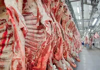 EUA têm medo de Brasil ampliar venda de miúdos para Ásia, diz Abiec imagem