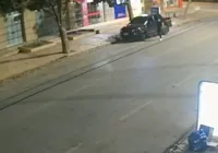 Empresário é punido após envenenar árvores em Luís Eduardo Magalhães imagem