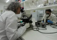 Estudo em gestantes quer reduzir risco de HTLV-1 em recém-nascidos imagem