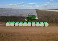 Fertilizantes deverão repetir safra passada, prevê Anda