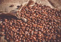 Gigante mundial faz investimento bilionário em café no Brasil