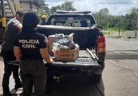 Mais de 30 kg de drogas são incineradas em cidade do Recôncavo Baiano imagem