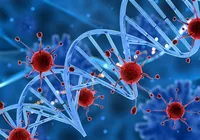 Novo surto de vírus na China acende alerta global e lembra pandemia