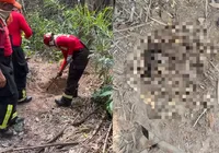 Quatro corpos são localizados enterrados em área de mata imagem