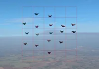 Recorde Mundial! Brasil faz história no Wingsuit em Boituva