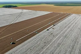 A voz de líderes conscientes para o agroconsciente - Imagem