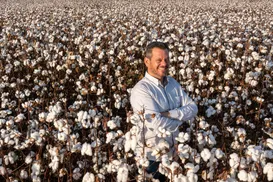 Algodão baiano supera secas e calor com tecnologia de ponta e inovações - Imagem