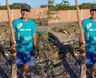 Agricultor se surpreende com mandioca de 2 metros colhida na Bahia