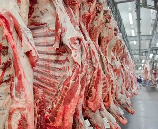EUA têm medo de Brasil ampliar venda de miúdos para Ásia, diz Abiec