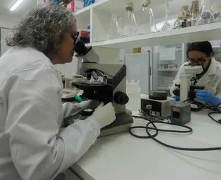Estudo em gestantes quer reduzir risco de HTLV-1 em recém-nascidos