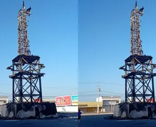 Fogo atinge e destrói estátua da Havan em Petrolina; assista