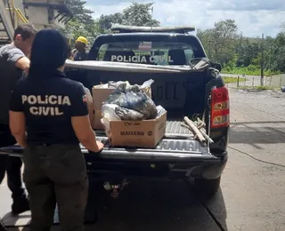 Mais de 30 kg de drogas são incineradas em cidade do Recôncavo Baiano