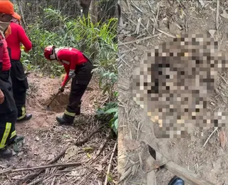 Quatro corpos são localizados enterrados em área de mata
