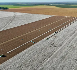 A voz de líderes conscientes para o agroconsciente - Imagem