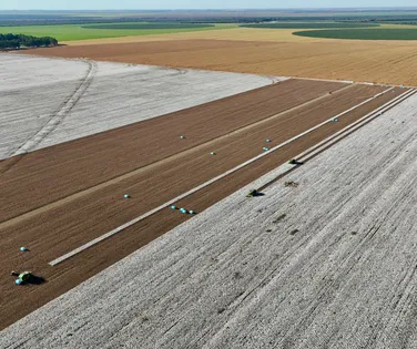 A voz de líderes conscientes para o agroconsciente - Imagem