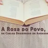 80 anos da “rosa” de Drummond na ALB - Imagem